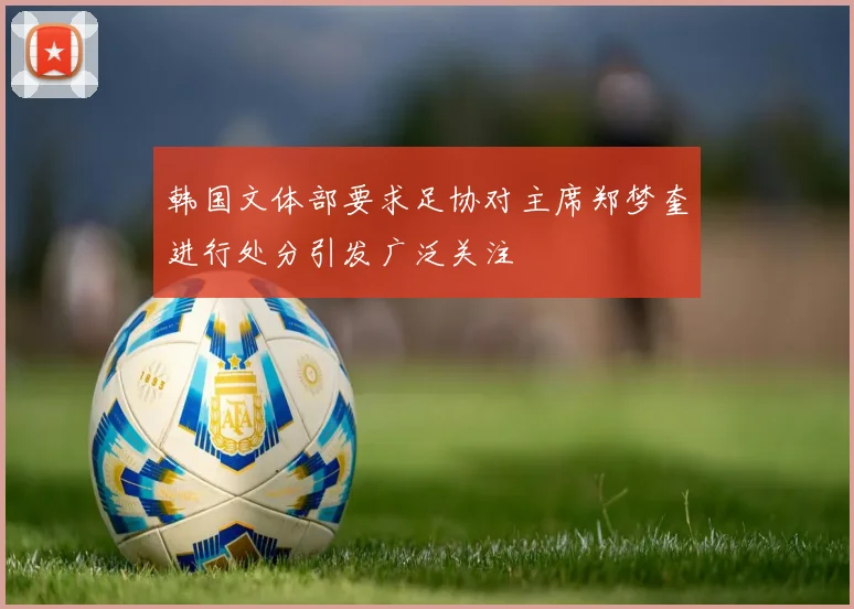 韩国文体部要求足协对主席郑梦奎进行处分引发广泛关注