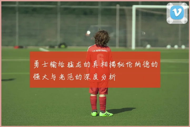 勇士输给猛龙的真相揭秘伦纳德的强大与老范的深度分析